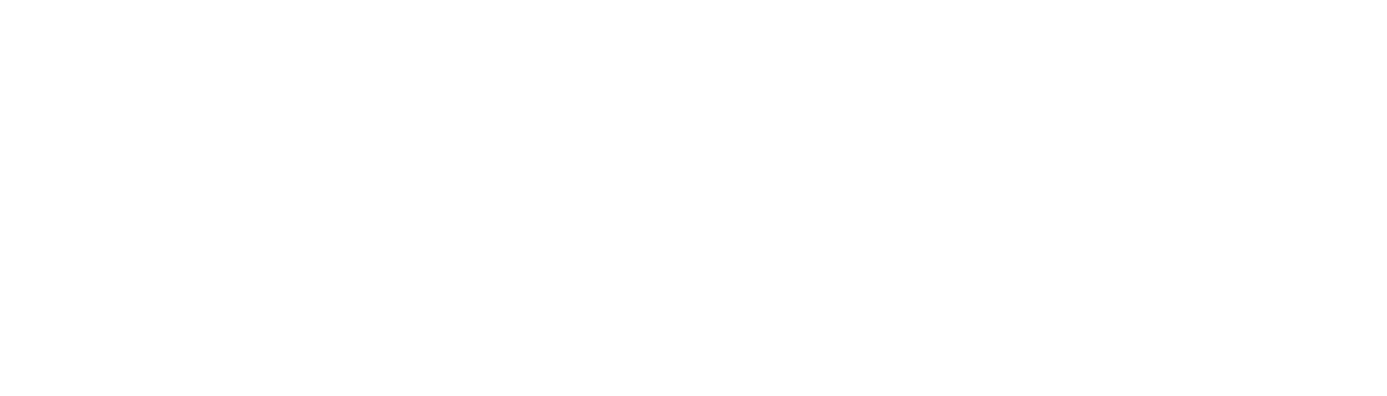 exact seal logo