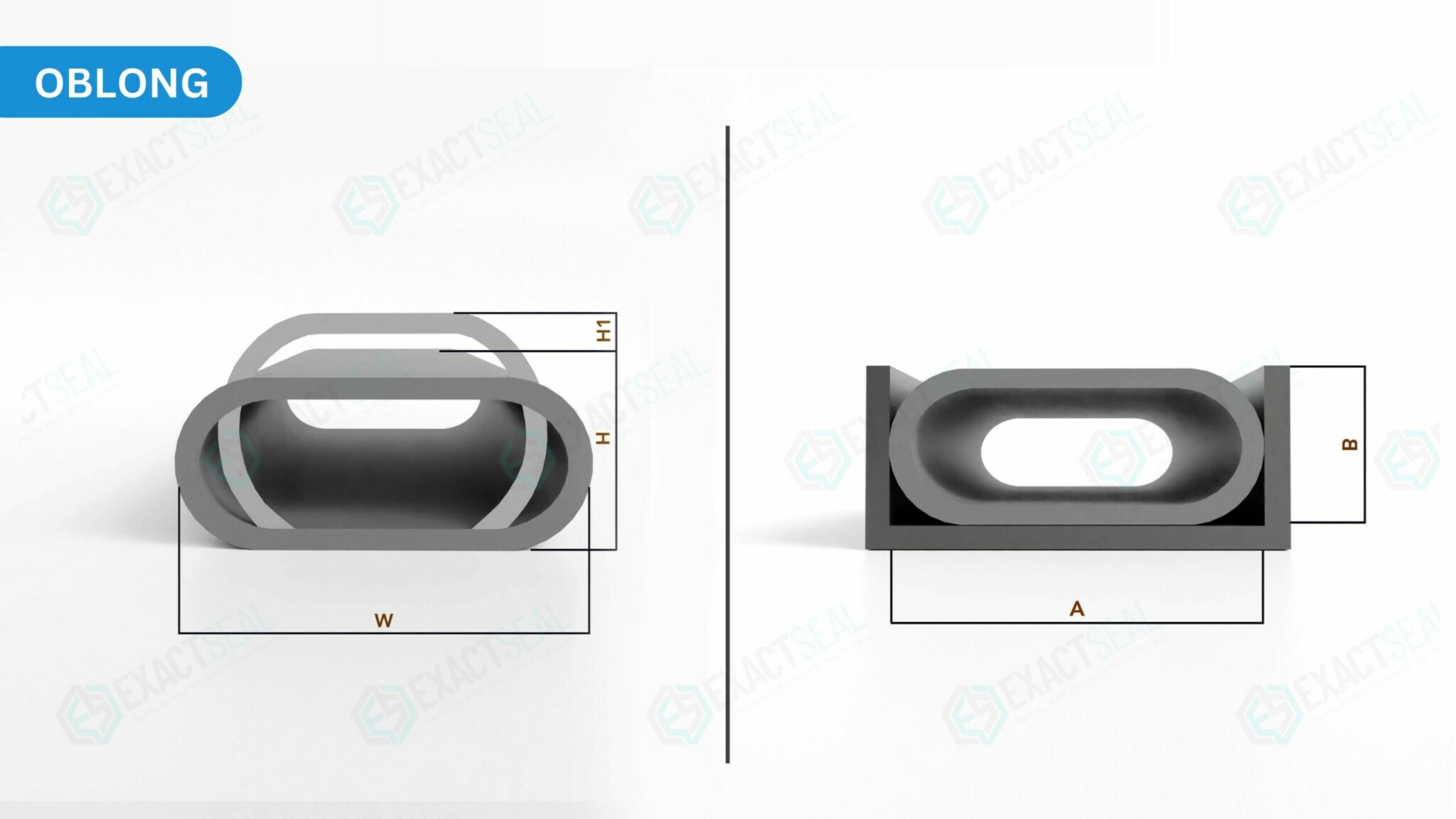 oblong cross section seals