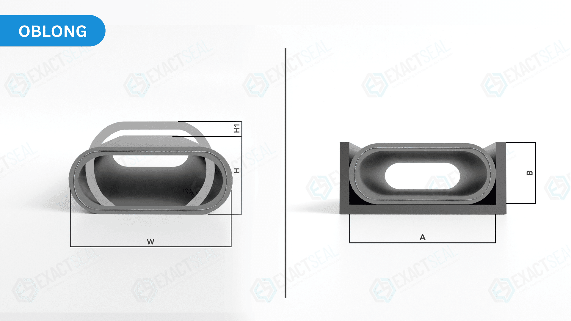 oblong cross section seals