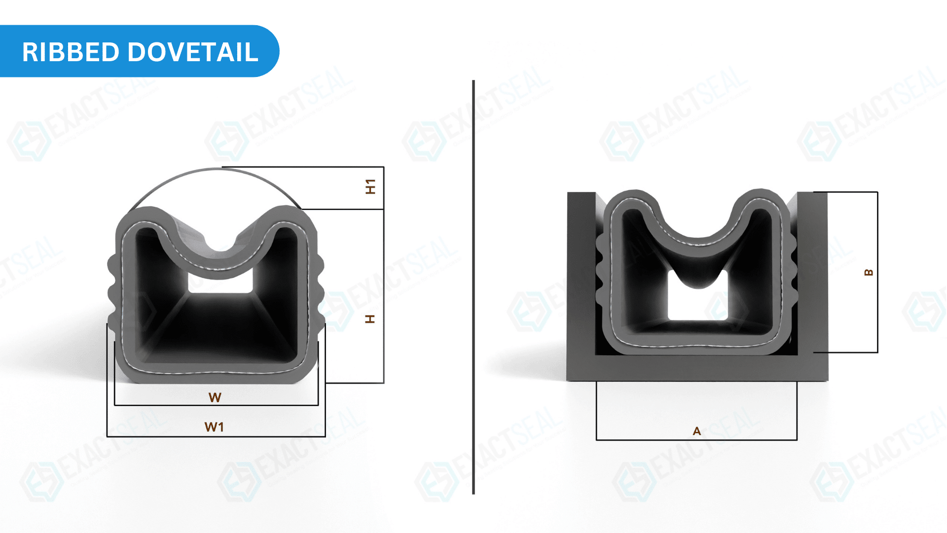oblong cross section seals