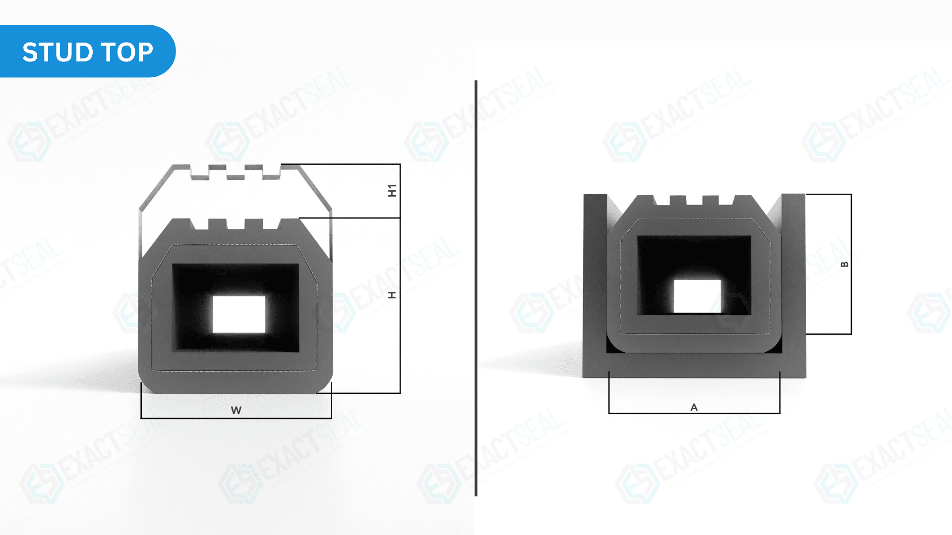 oblong cross section seals